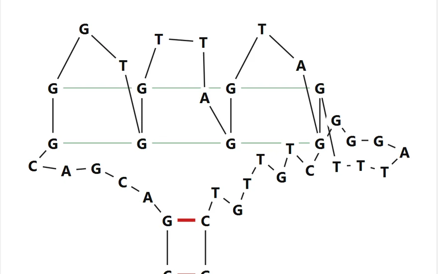 AptaFold output: 2D drawing of a DNA aptamer folded with a three-tetrad G-quadruplex on a duplex stem